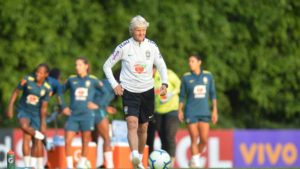 Técnica da Seleção Brasileira