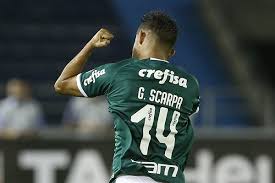 Gustavo Scarpa Palmeiras